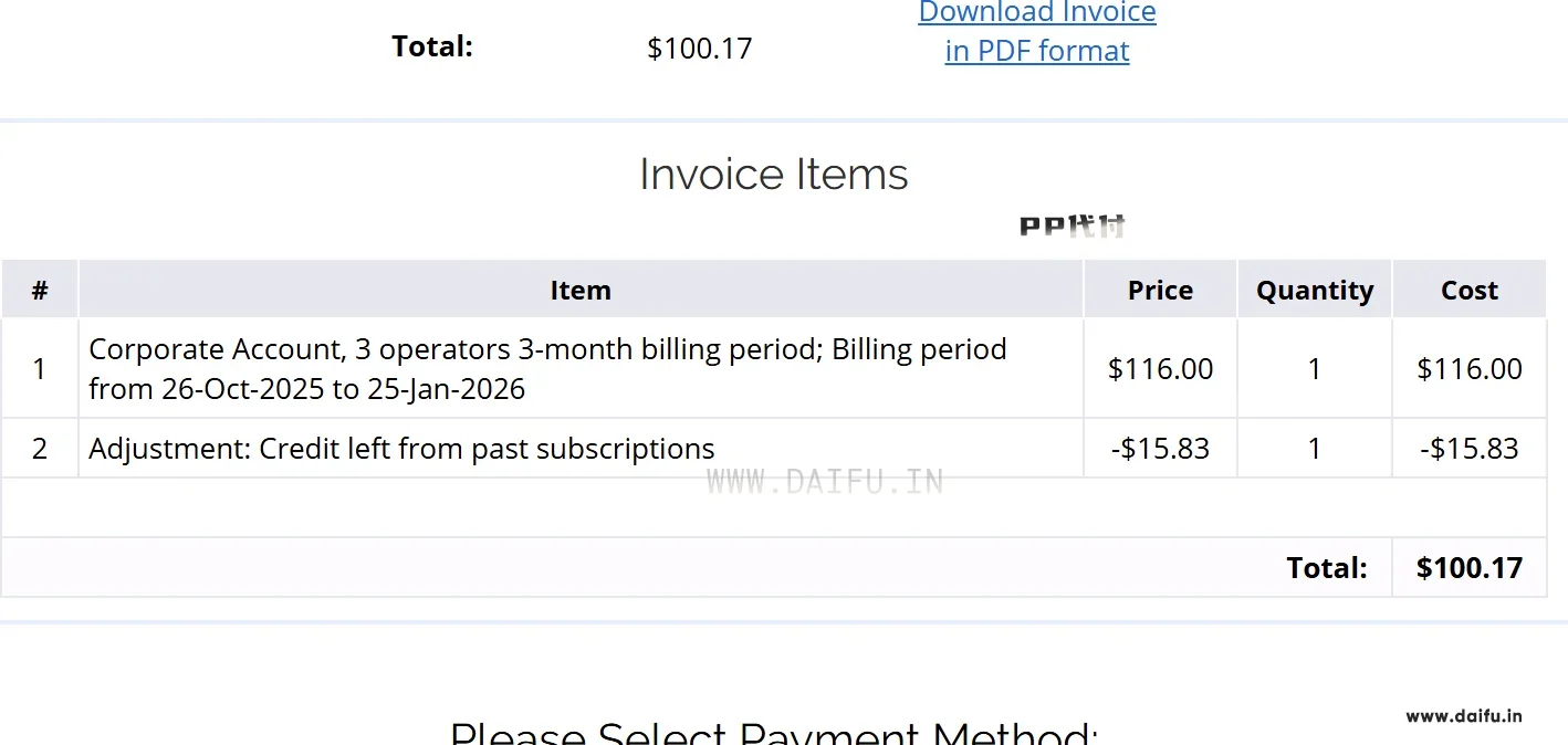 PP代付PayPal代付ProvideSupport前，仔细核对发票金额与折扣余额，确认实际付款100.17美元