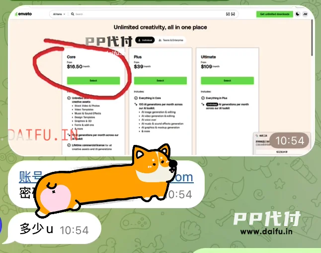 客户先发账号与说明，沟通 Envato 年付金额和代付需求的截图
